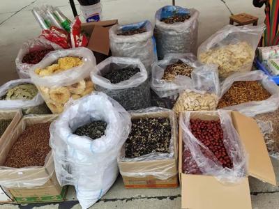 慶豐收 感黨恩——蘄春縣農副產品展銷會隆重開幕，特色好物匯聚一堂