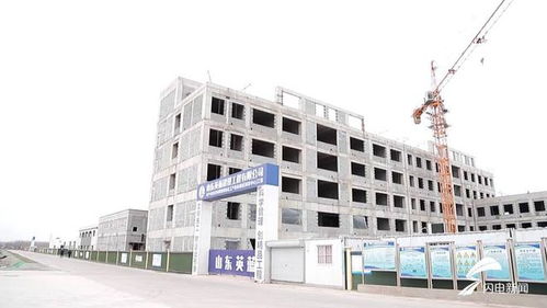 平原縣 聚焦綠色化工與農副產品精深加工，雙輪驅動沖刺百億產值新高地